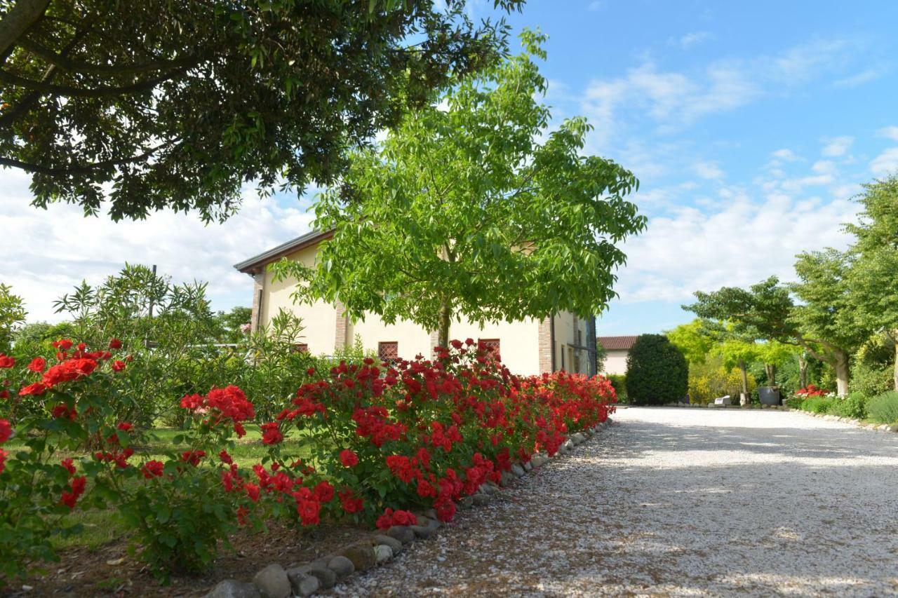 B&B Ca Di Viazadur Faenza Exterior foto